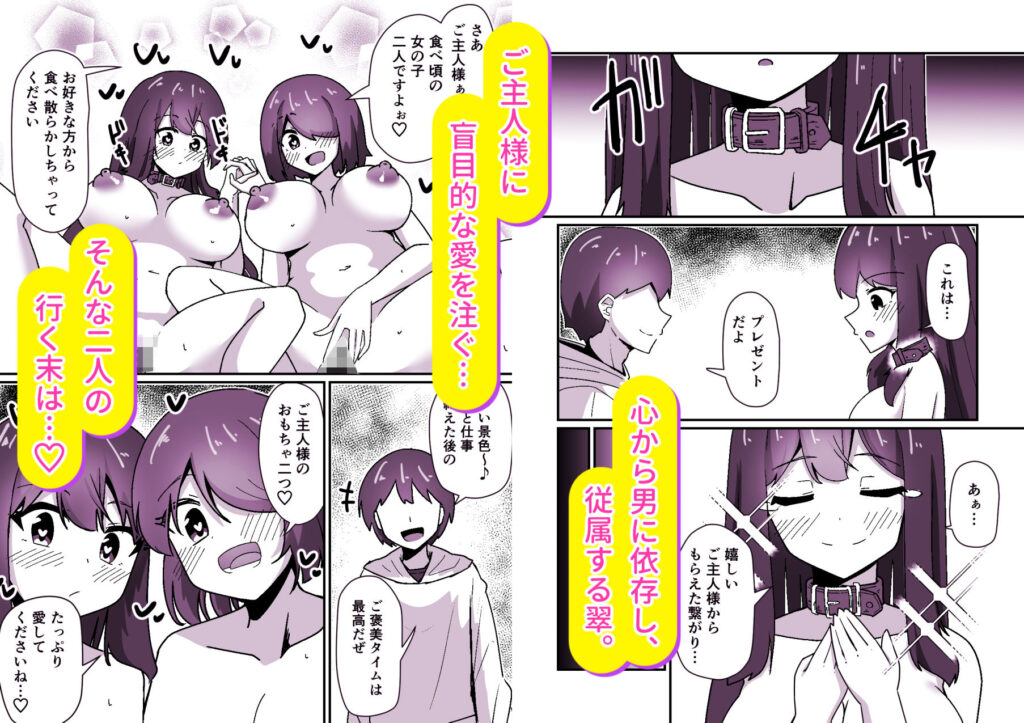 正義の探偵姉妹は催●奴●になりました。 サンプル画像5 【天空ガアドレヱル】
