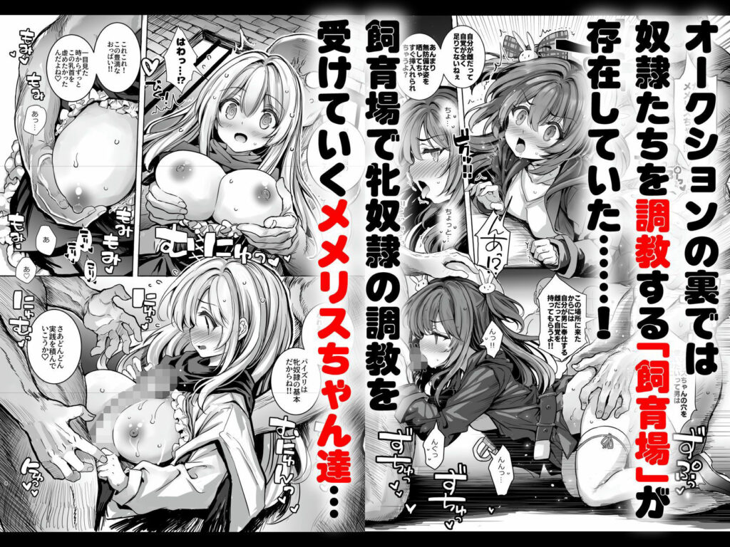 調教監獄に囚われて…正気を溶かし、従属堕ち サンプル画像2 【メメリスチャンネル】