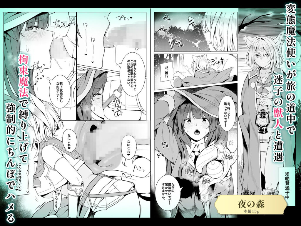 【6作品収録】ふたなり短編作品集【JK、魔法使い、獣人】 サンプル画像4 【割砕屋】