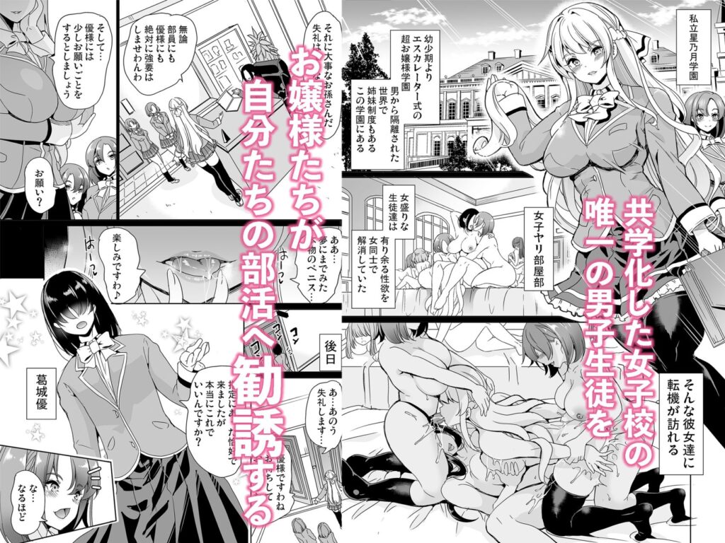 女子ヤリ部屋部の男根 〜痴女ハーレム〜 総集編 サンプル画像1 【鳳まひろ】